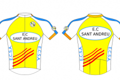 maillot_erni5
