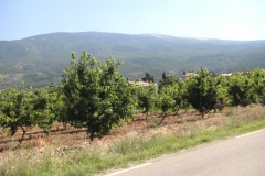cimg0572